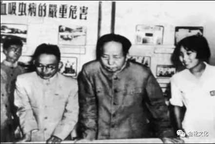 这个冬天，格外想念毛主席