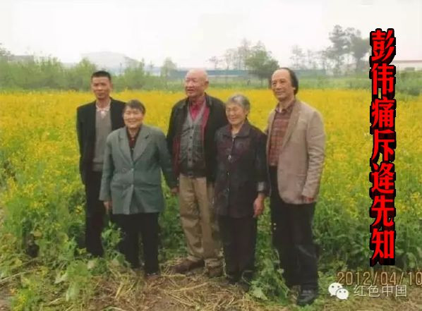 彭伟痛斥逄先知