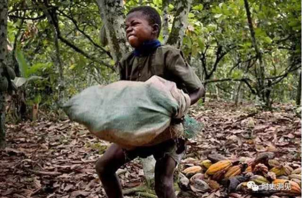 美味的巧克力和纯洁的钻石？不！它们是地球上最血腥肮脏的商品