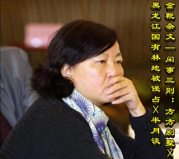 金靴杂文 | 闲事三则:方方别墅×黑龙江国有林地被侵占×半月谈