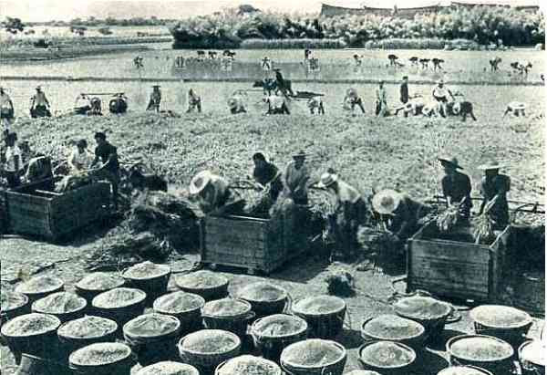 老照片:农业学大寨,旧貌换新颜,大寨精神美名扬