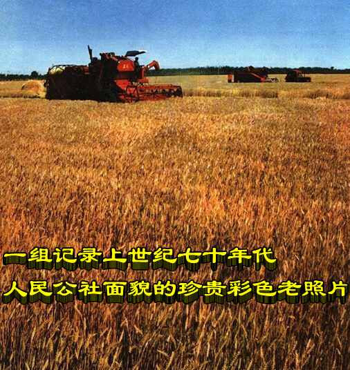 一组记录上世纪七十年代人民公社面貌的珍贵彩色老照片