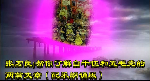 张宏良：帮你了解自干伍和五毛党的两篇文章（配乐朗诵版）