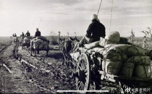 1950年代,农业合作化