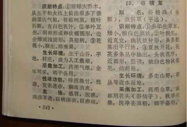 赤脚医生：悬壶济世的温暖记忆【1】