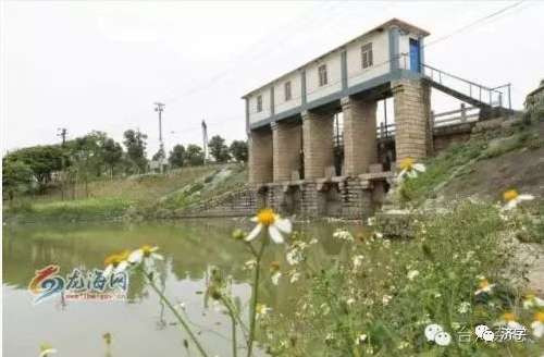 毛主席为何说样板戏《龙江颂》主演不是安徽的，也不是上海的，是国家的？