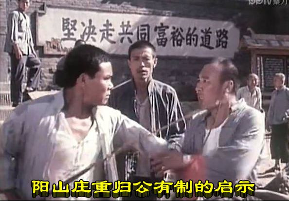 阳山庄重归公有制的启示