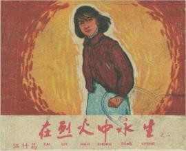 罗广斌、杨益言：红岩（一）