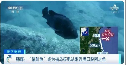 周小平：它们说日本人从不乱扔垃圾~