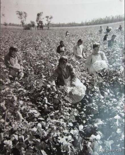 新中国70年代初期欣欣向荣的农村人民公社