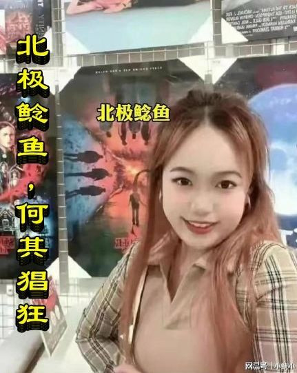 北极鲶鱼,何其猖狂