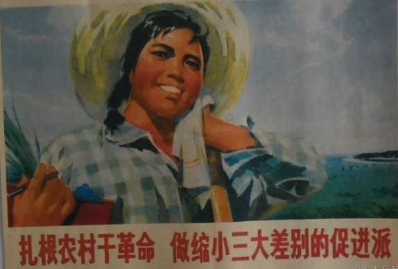 张文茂：七八十年代农村改革前后的若干历史真相