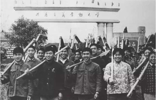 真相:高考被废除的前前后后到底发生了些什么?