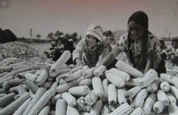 老照片：新中国70年代初期欣欣向荣的农村人民公社