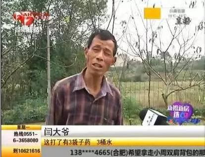  安徽一农家的羊一只接一只死亡, 原来真凶是……