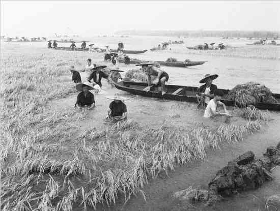 改革开放前的真实中国民生