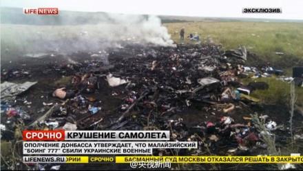 张宏良评：马航客机被击落事件