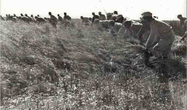 新中国工业革命与世界工业化回眸 （一）