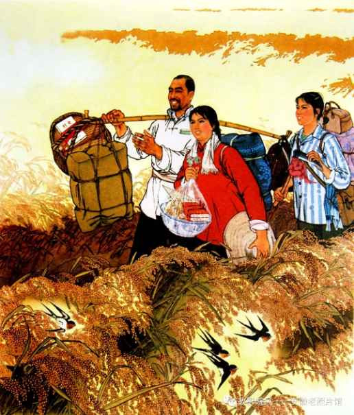 独家影像:安徽70年代的“知青”岁月