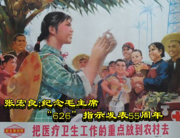 张宏良：农村有多少患病老人是被“药儿子”“绳儿子”和“水儿子”收走的，有谁统计过？