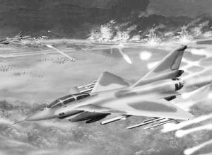  张宏良：再不诛杀汉奸，国人将死无葬身之地