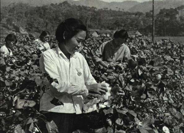 老照片 中共韶山党支部 毛主席亲自创建的我国农村最早党支部