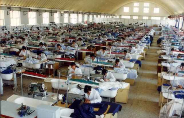 谢小庆：毛爷爷说农村不能只搞农业