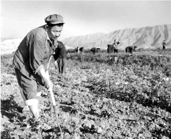艰难奠基，新中国前三十年史诗般波澜壮阔的工业史（中）