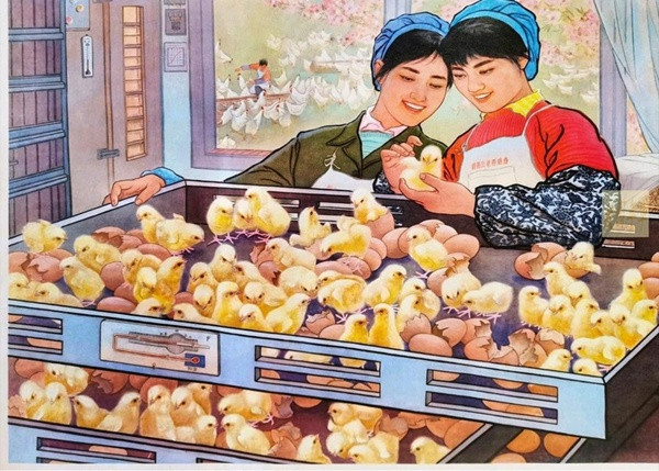 论计划经济（六）——竞争毫无意义篇