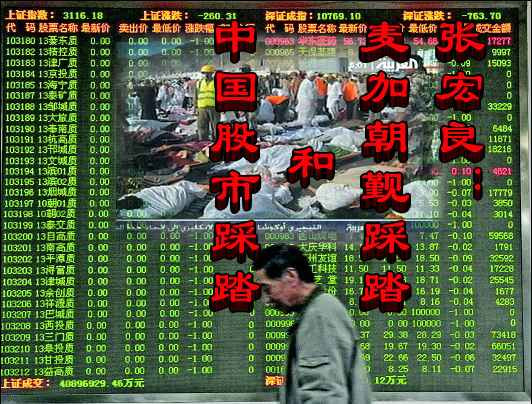张宏良：麦加朝觐踩踏和中国股市踩踏
