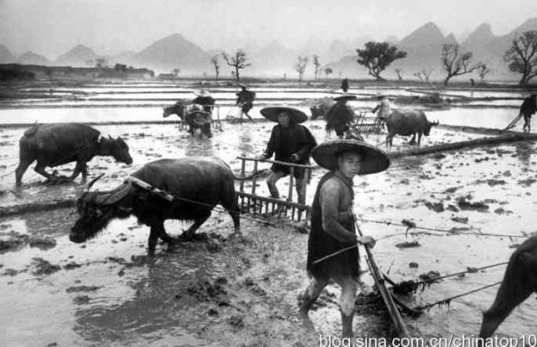 新中国工业革命与世界工业化回眸（十）