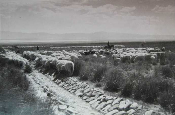 老照片：新中国70年代初期欣欣向荣的农村人民公社