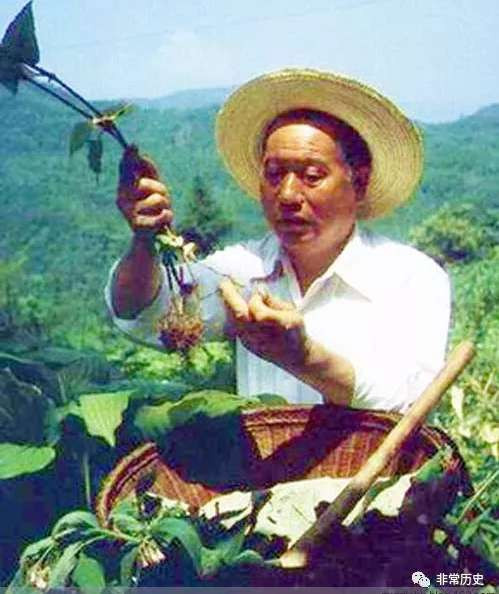 档案 | 1965年6月26日,毛泽东怒批卫生部,催生中国“赤脚医生”