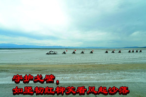 守护戈壁，如坚韧红柳笑看风起沙落