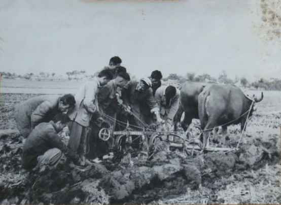 毛泽东社会主义光明道路——农业合作化运动