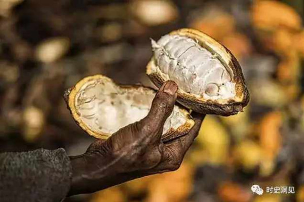 美味的巧克力和纯洁的钻石？不！它们是地球上最血腥肮脏的商品