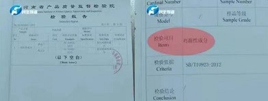子午:从人人辟谣到人人喊打,老鼠到底经历了啥?