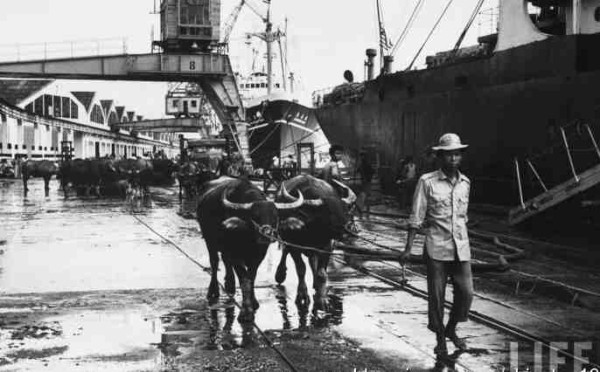 新中国工业革命与世界工业化回眸（五）