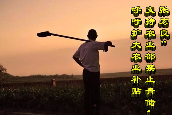 张宏良：支持农业部禁止青储，呼吁扩大农业补贴