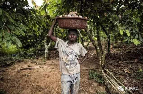 美味的巧克力和纯洁的钻石？不！它们是地球上最血腥肮脏的商品