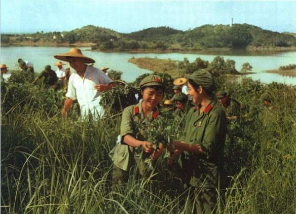 毛主席发怒：为了农民，卫生部不能只为老爷服务