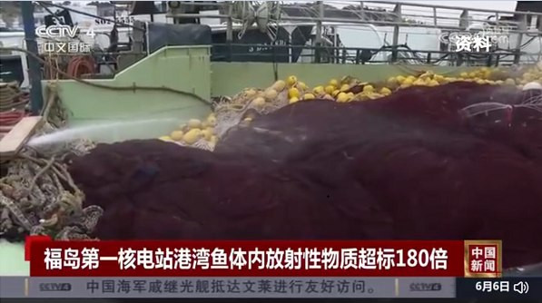 福岛核电站港湾内海鱼体内放射性物质超标180倍
