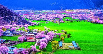 “大地之子”向往“物我两亲”新世界