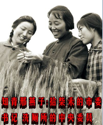 知青邢燕子：拾柴禾的市委书记 洗厕所的中央委员