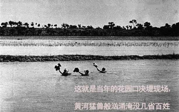 张宏良：问题就在于泡制反共反华舆论的人仍然占据主流地位