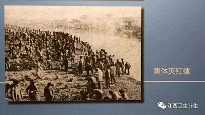 此路走不通，去找毛泽东：毛主席是如何抗疫的？