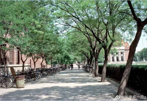 1984年  北京市的清华大学内的主楼及毛塑像还有大礼堂