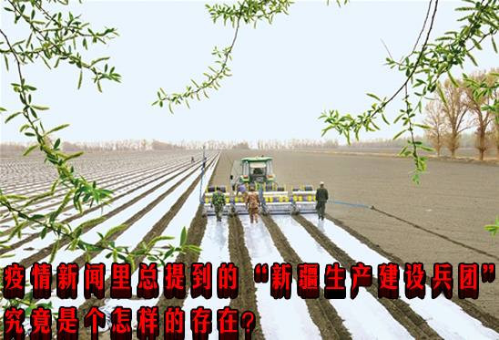 疫情新闻里总提到的“新疆生产建设兵团”，究竟是个怎样的存在？