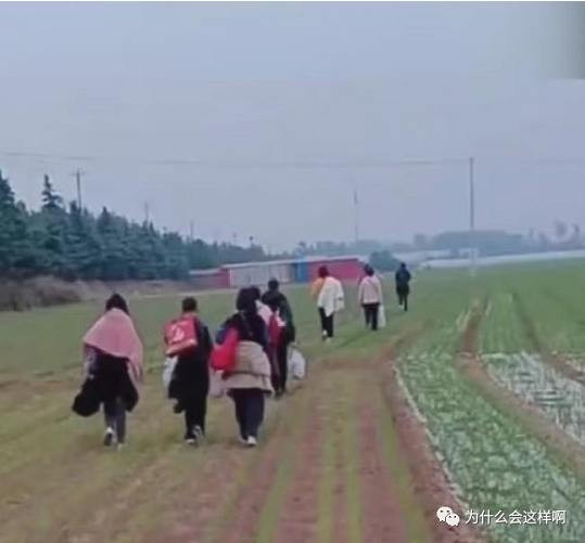 大老板对逃离富士康的员工百般辱骂，而老百姓却对他们提供饮食，你还不懂亲不亲阶级分吗？！