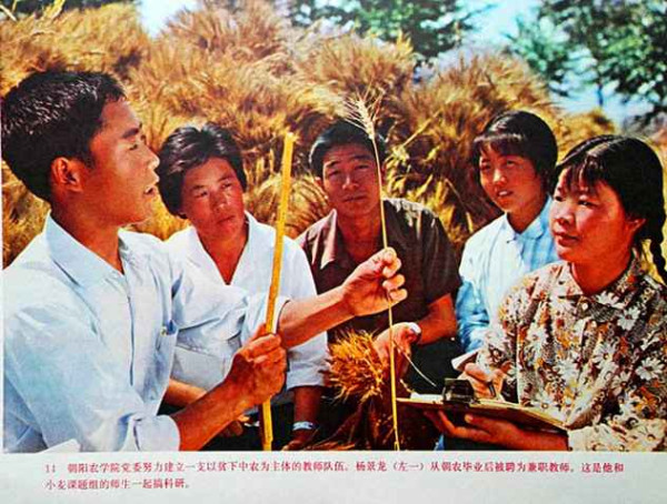 学校应当成为无产阶级专政的工具——记朝阳农学院1975.10